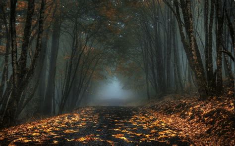 fall background dark|dark fall background images.